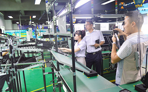 公牛參觀興千田 公牛參觀興千田