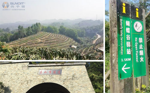 徒步冬游 徒步冬游