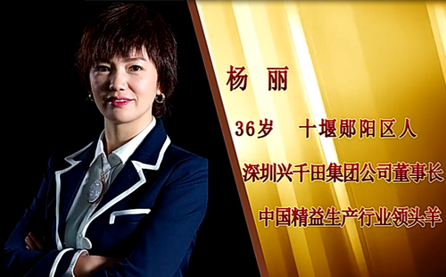 電視臺(tái)《十堰榮耀》專訪-興千田集團(tuán)楊麗