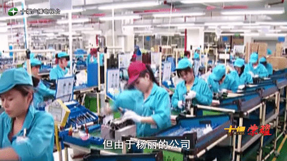 創(chuàng)業(yè)是一條無比艱辛的路，創(chuàng)新更是無限風(fēng)光在險(xiǎn)峰。在男性為主導(dǎo)的商海里，女性創(chuàng)業(yè)創(chuàng)新需要鼓足十萬分的勇氣和力量，是挑戰(zhàn)未來成功的小概率事件。而十堰姑娘楊麗便是這小概率事件中的一個(gè)傳奇，也是女性創(chuàng)業(yè)創(chuàng)新的榜樣。今天就來認(rèn)識(shí)這位傳奇女性-興千田集團(tuán)楊麗。