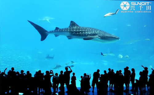 興千田集團(tuán)2020年度旅游活動-長隆二日游 興千田集團(tuán)2020年度旅游活動-長隆二日游