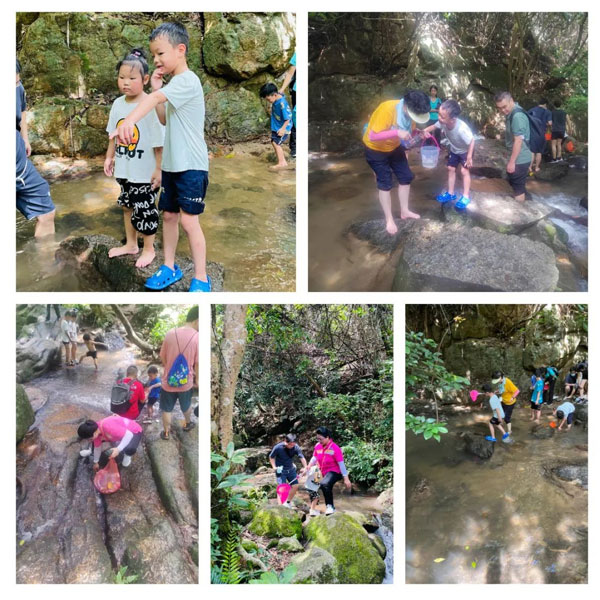 陽(yáng)臺(tái)山愛(ài)護(hù)環(huán)境公益活動(dòng) 陽(yáng)臺(tái)山愛(ài)護(hù)環(huán)境公益活動(dòng)