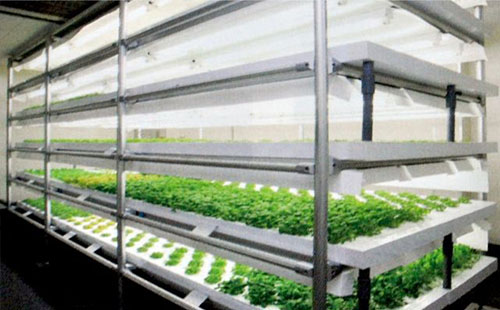 精益管可以做大棚管嗎？