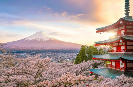 2025【精益生產(chǎn)+Karakuri 改善大會(huì)】一場(chǎng)關(guān)于“智慧”與“循環(huán)”的深度研學(xué) 2025【精益生產(chǎn)+Karakuri 改善大會(huì)】一場(chǎng)關(guān)于“智慧”與“循環(huán)”的深度研學(xué)